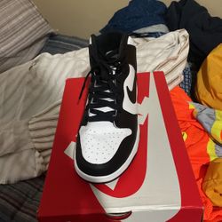 Nike Dunk Hi Retro