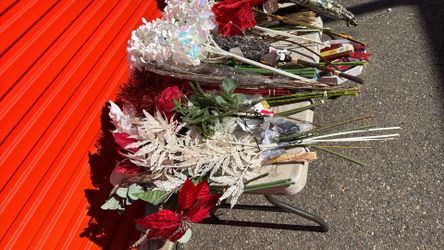 Lots Of Flowers And Potted Plants $3 Flowers $10 Pots