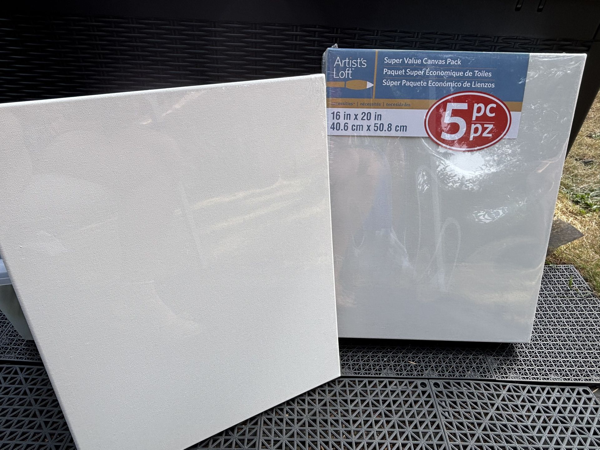 5 Pack (+1) 16x20 Canvas’ Brand New. Still Cello Wrapped