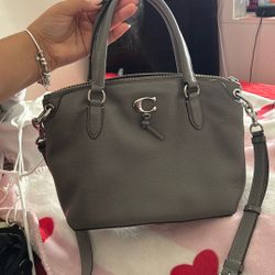 Grey Coach Bag