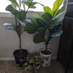 3 Fake Plants