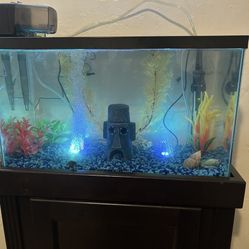 Fish Tank With Stand And Extra Accessories 