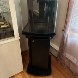 rimless 28 gallon nano tank with stand