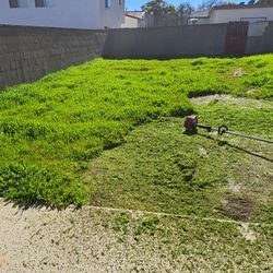 Jardinero 