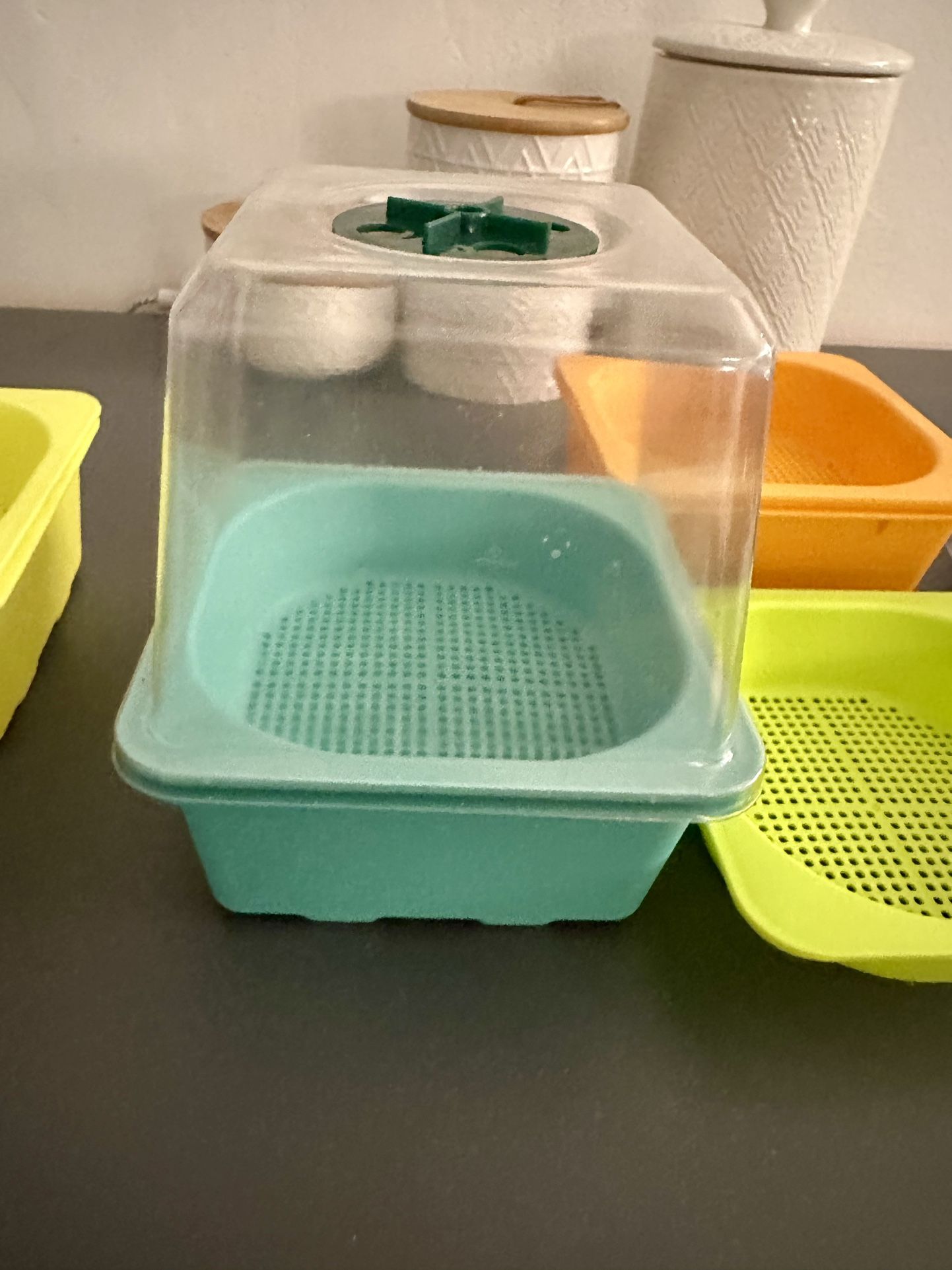 Growing Tray