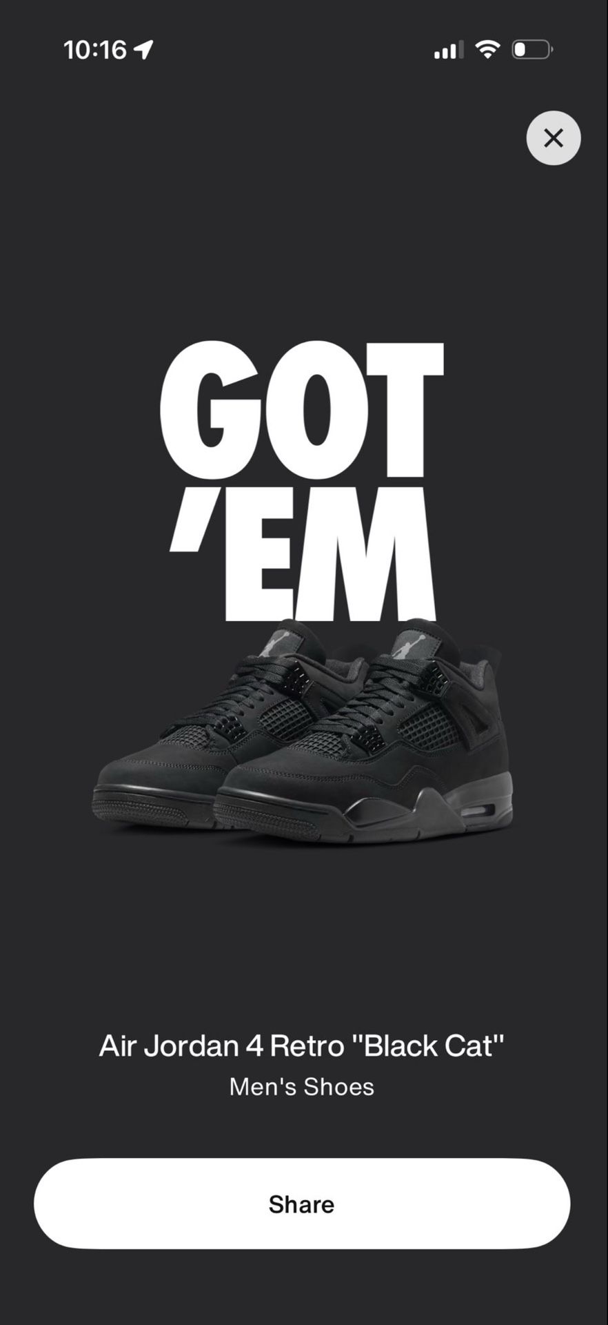 Black Cat Air Jordan 4