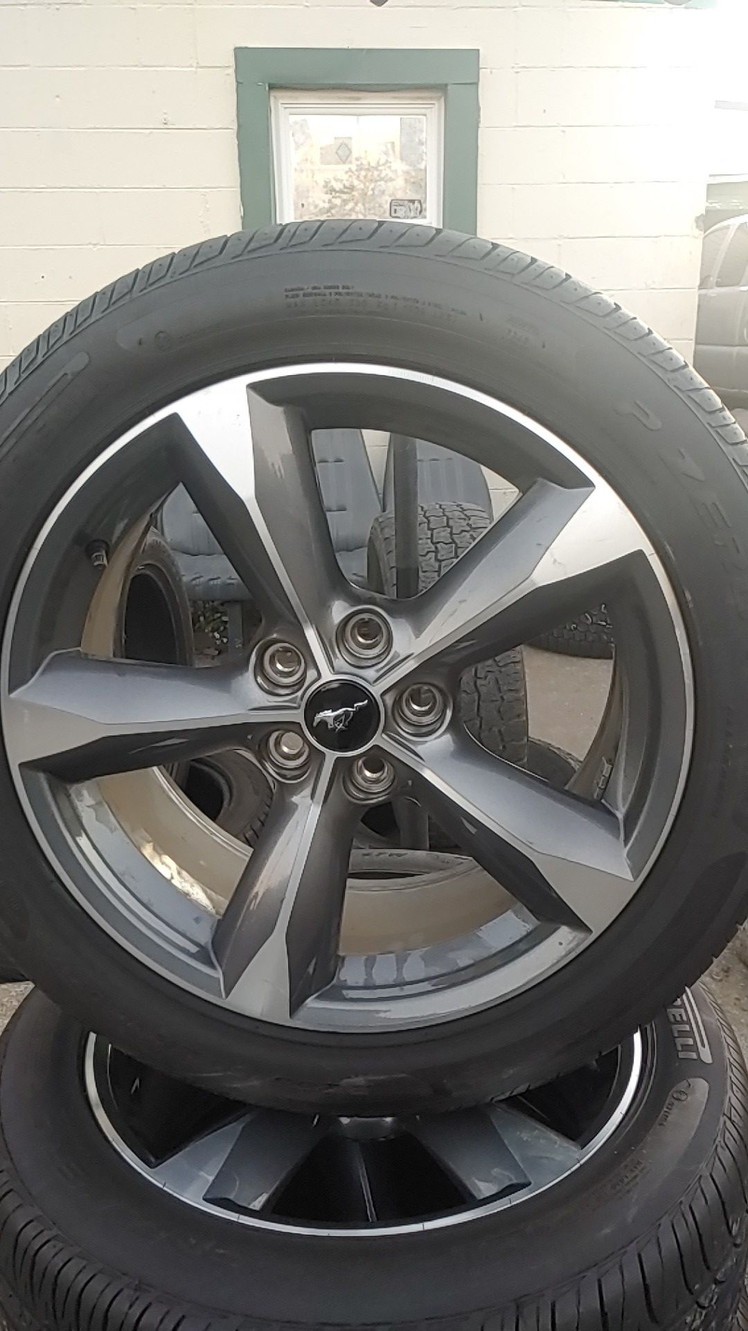 Mustang rims and tires