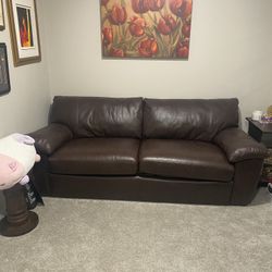 Sleeper Sofa