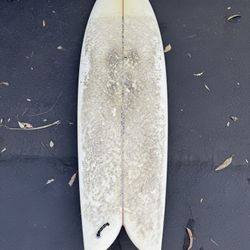 Channel Islands Fish