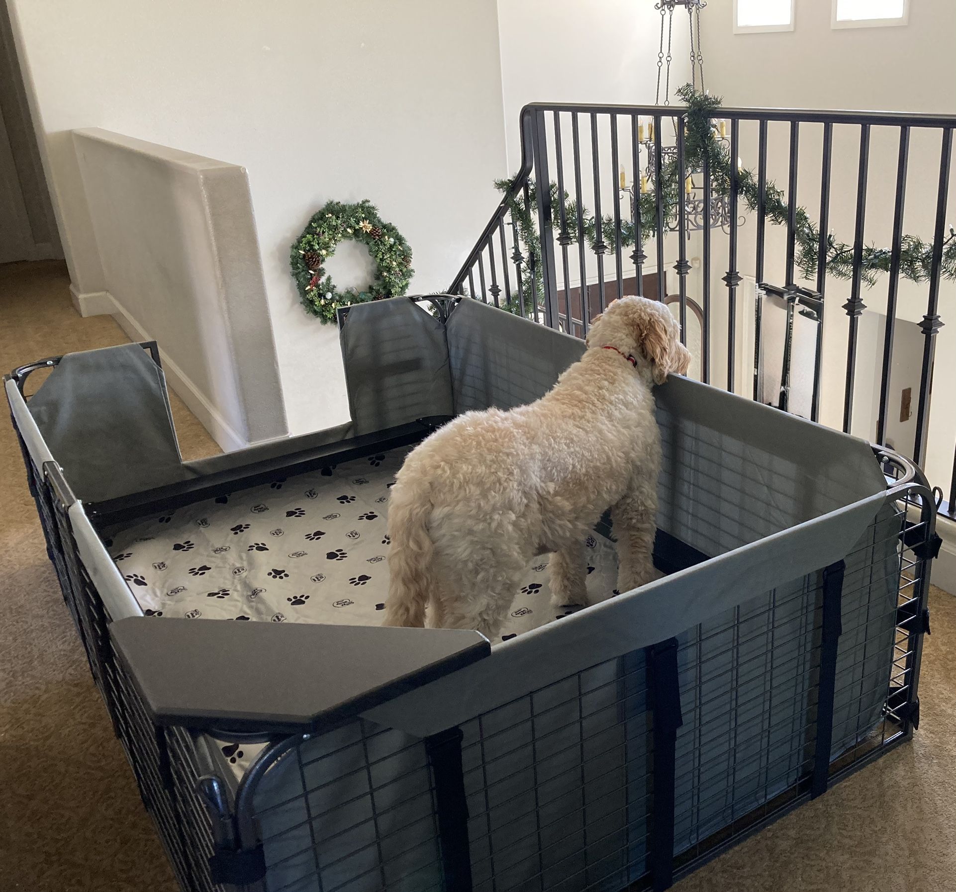 Whelping box (Fab System Whelping Box)