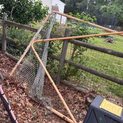 Free Lacrosse Goal