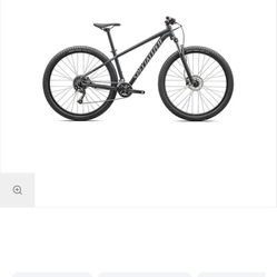 Specialized Rockhopper Mountain Bike 