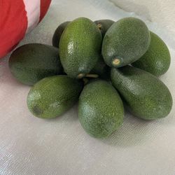 Organic Bacon Avocados- Large 