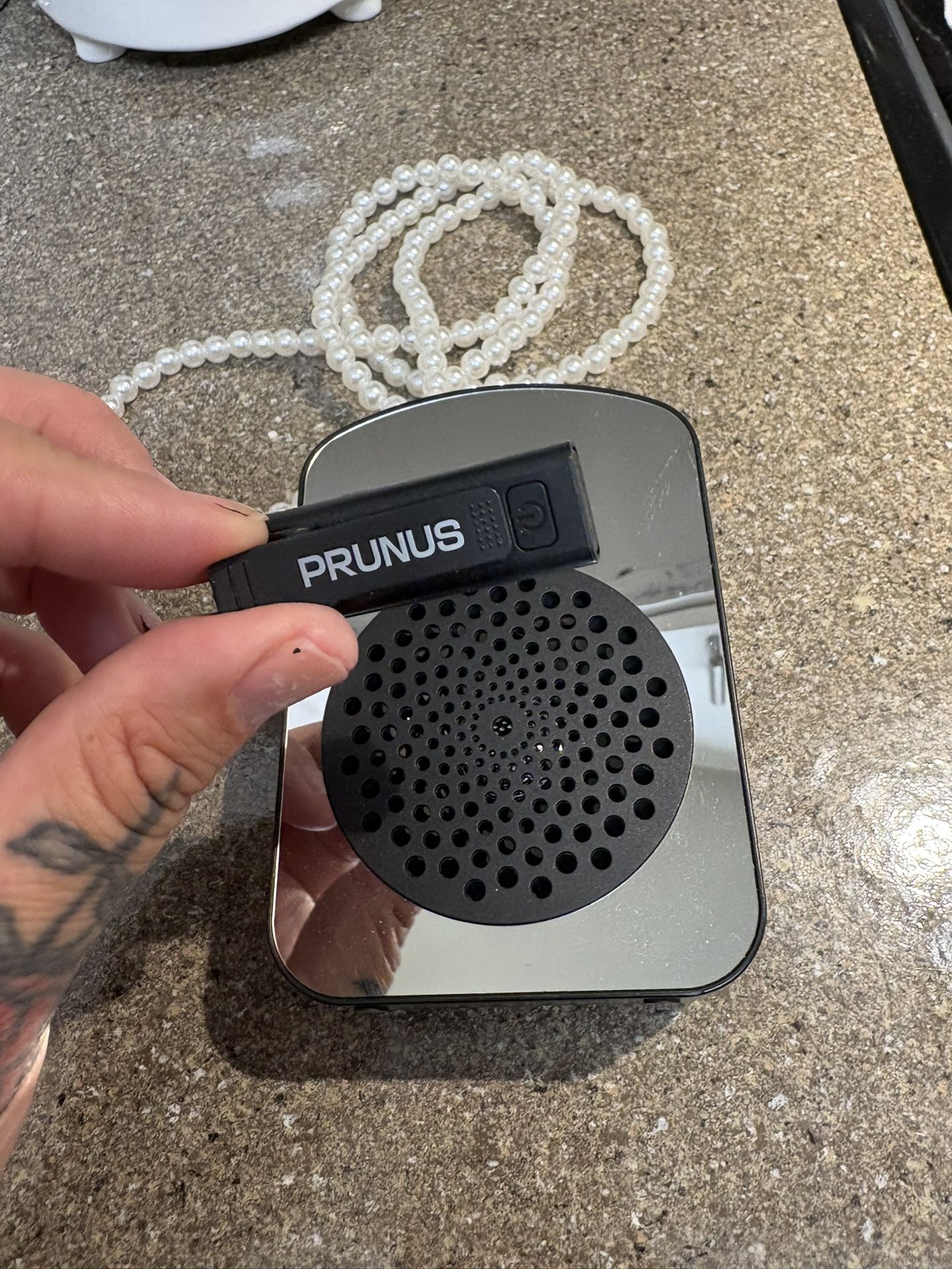 PRUNUS A10 Voice Amplifier Wireless with Microphone