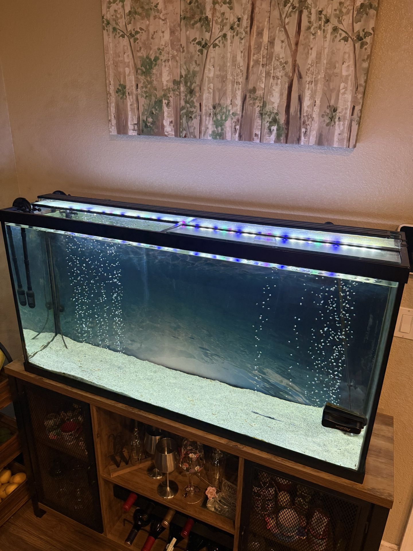 Aquarium FreshWater 60 Gallons