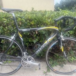 Giant TCR Composit 2