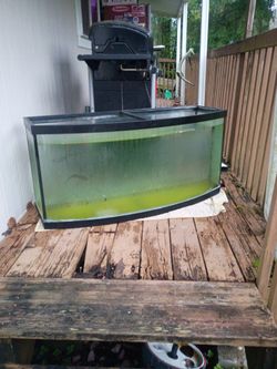 75 Gallon Fish Tank
