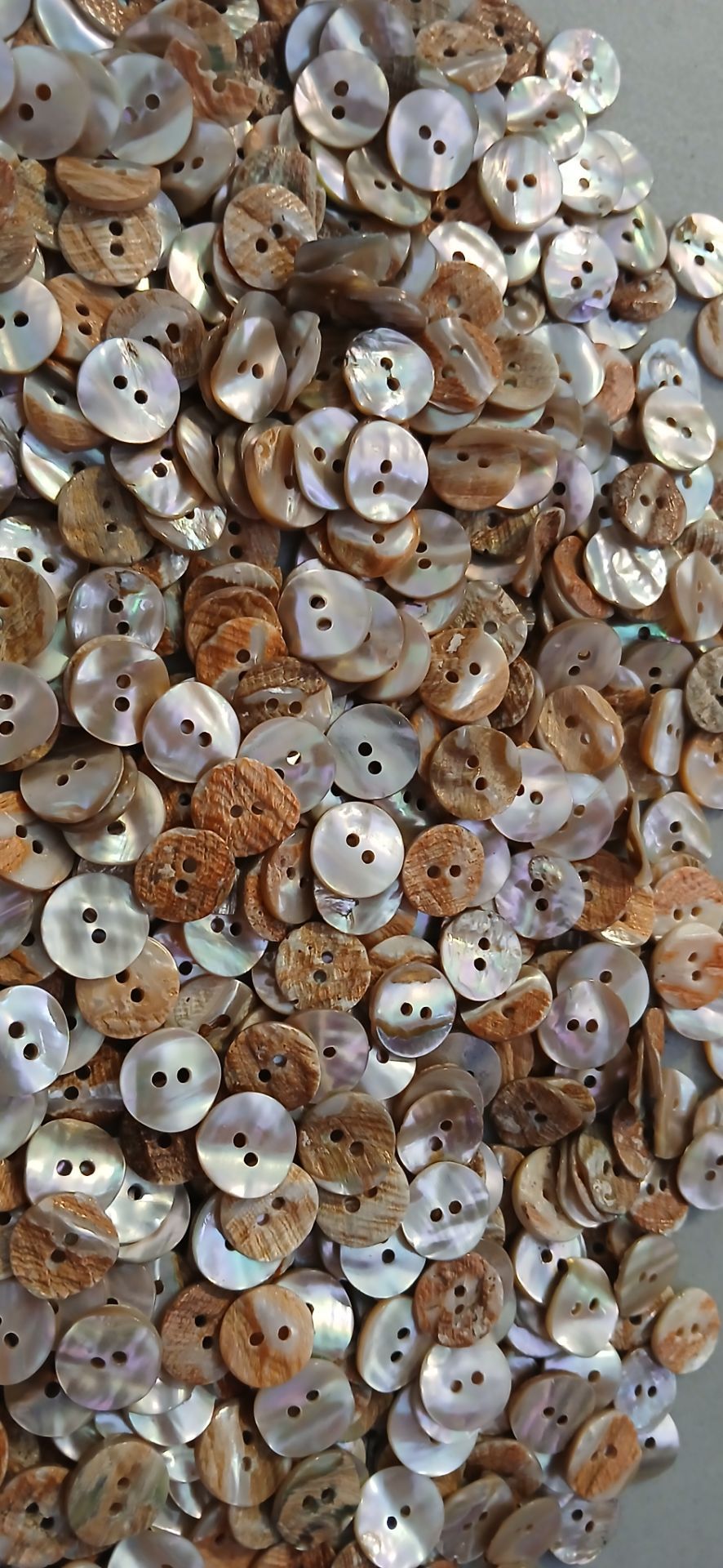 Shell buttons