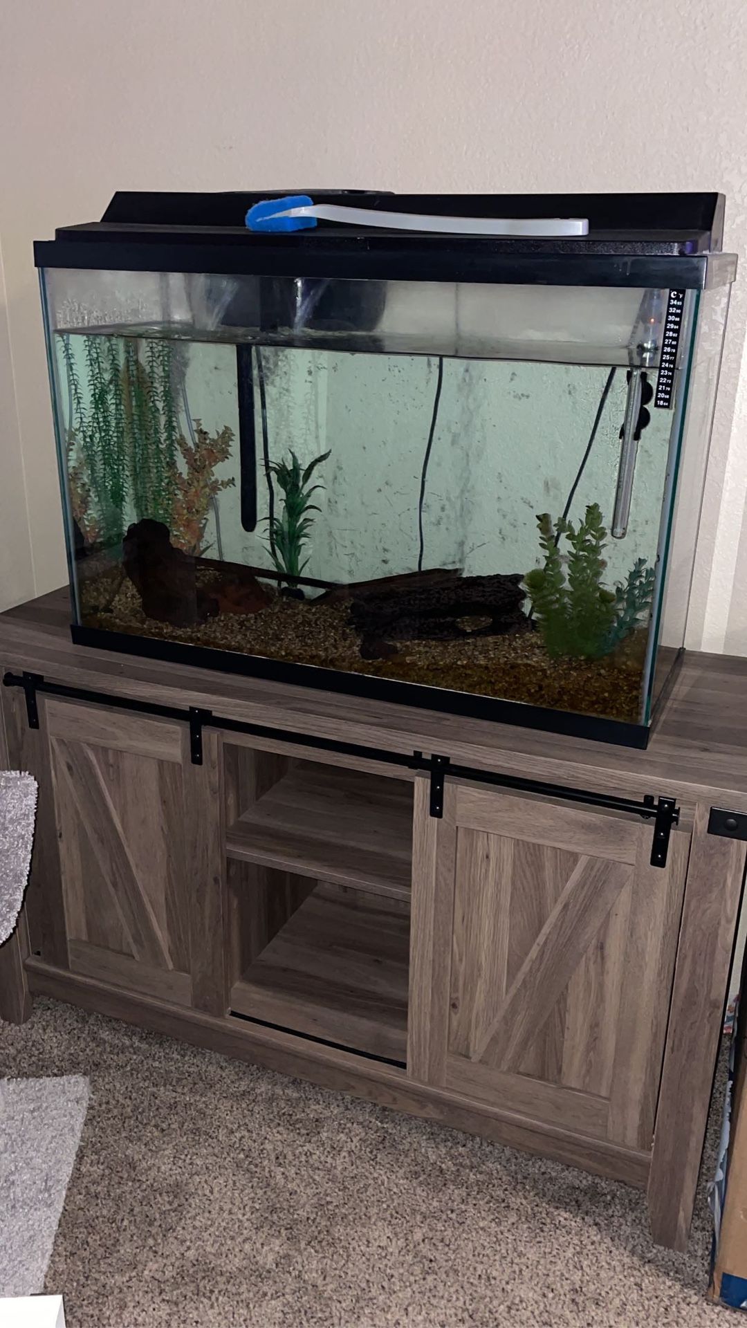 Fish Tank And Stand