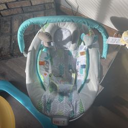 Baby Bouncer 