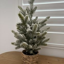 Faux Tree By Studio McGee With Threshold 