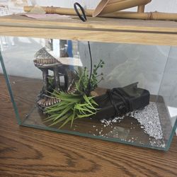 Fish Tank With Care Products