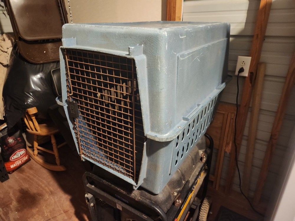 Dog Kennel