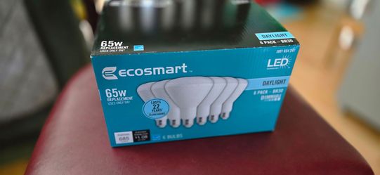 Ecosmart Daylight 5-pack B-30 lights