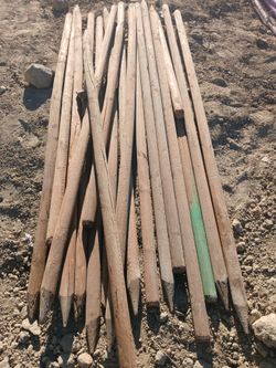Wood Stakes