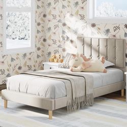 1 Twin and 1 Full size Bed (No Mattress) 