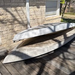 Sail fish And Sun Fish