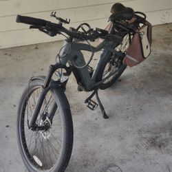 Ride 1Up 700 series with Bags And Storage Rack