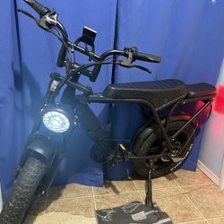 48v Electric Bike 