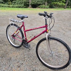 Freespirit 15 Speed Bicycle 