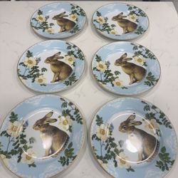 Williams Sonoma Garden Bunny Rabbit Easter Salad Plates See Of 6
