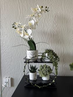 Marble Decor $10 (plants Not Included) 