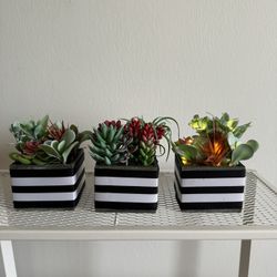Mingfuxin Succulents Plants Artificial in Pots Small Fake Plants with Led String Light Mini Artificial Potted Plants for Table Desk Home B