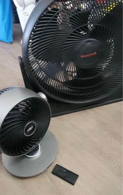 Fans