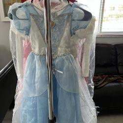 Cindirella Disney Custome 