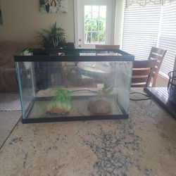 Fish Aquarium With Water Filter And Deceratuon 