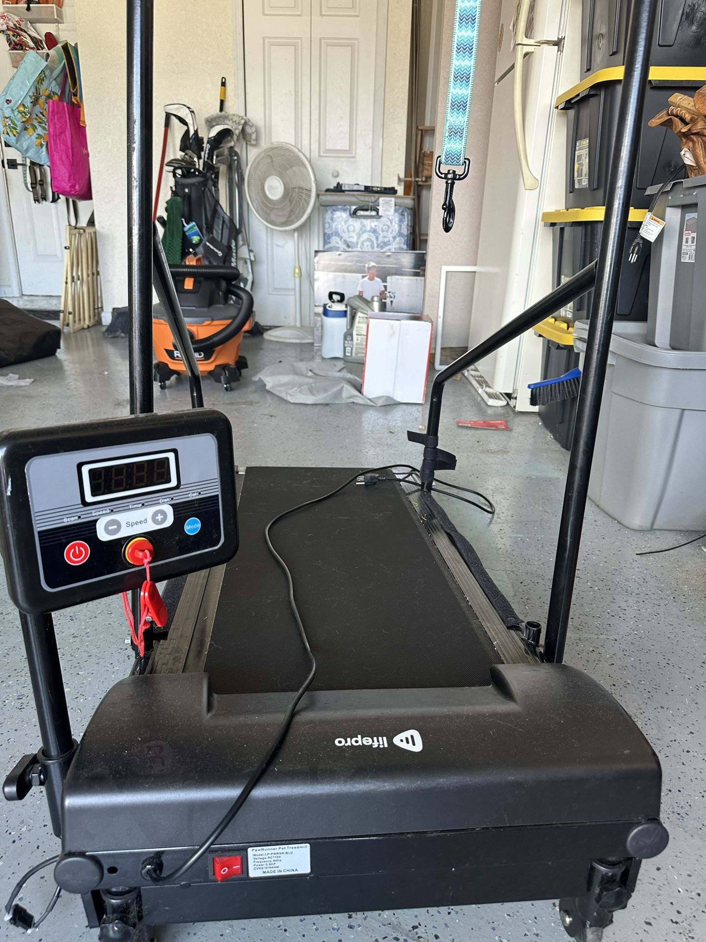 Dog Treadmill