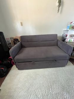 Pull-Out Sleeper Sofa / Loveseat