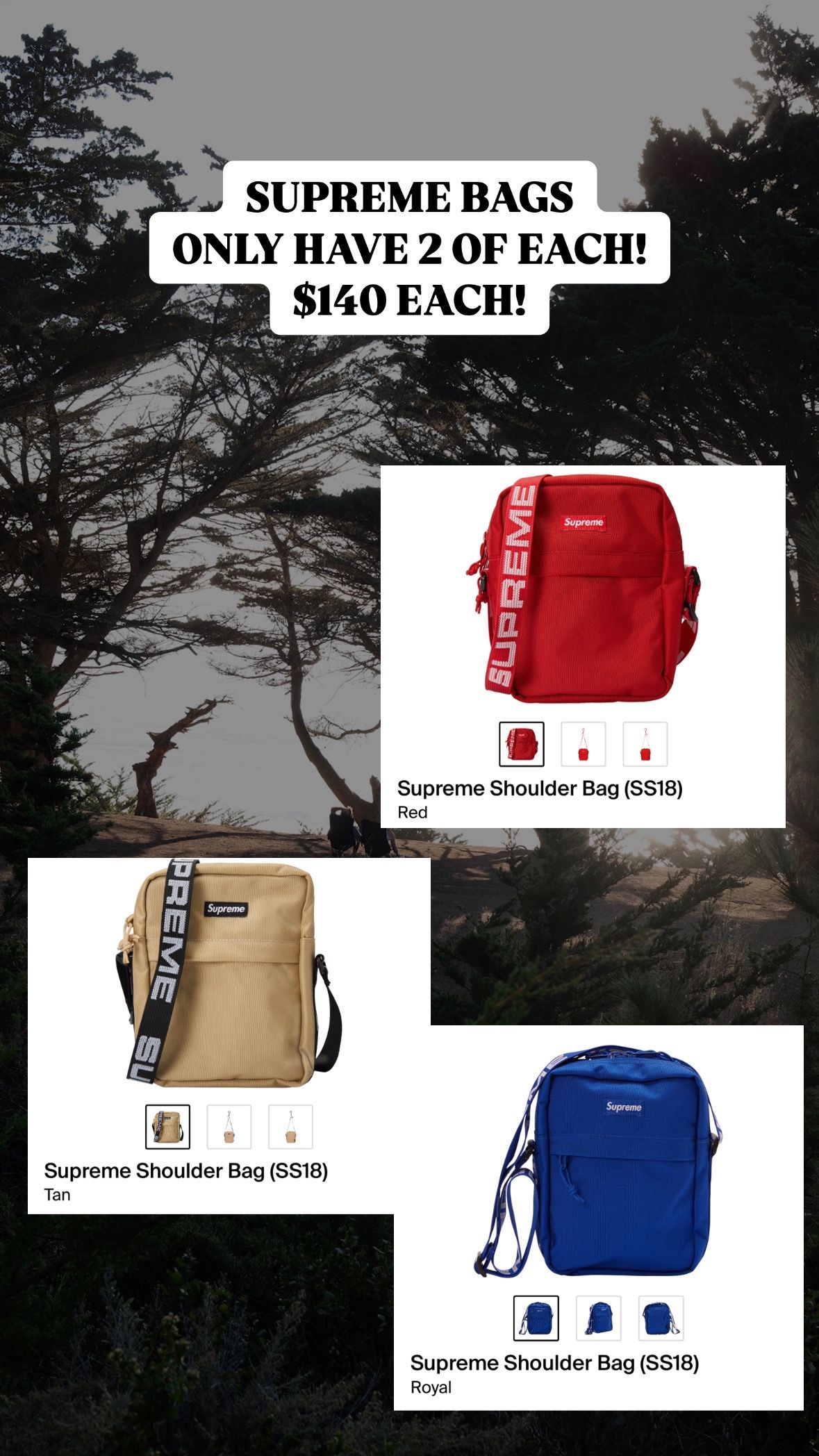 SS18 Supreme Bag (SHIPPED ONLY)