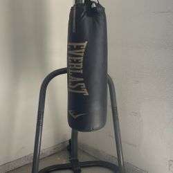 Everlast Elite Punching Bag