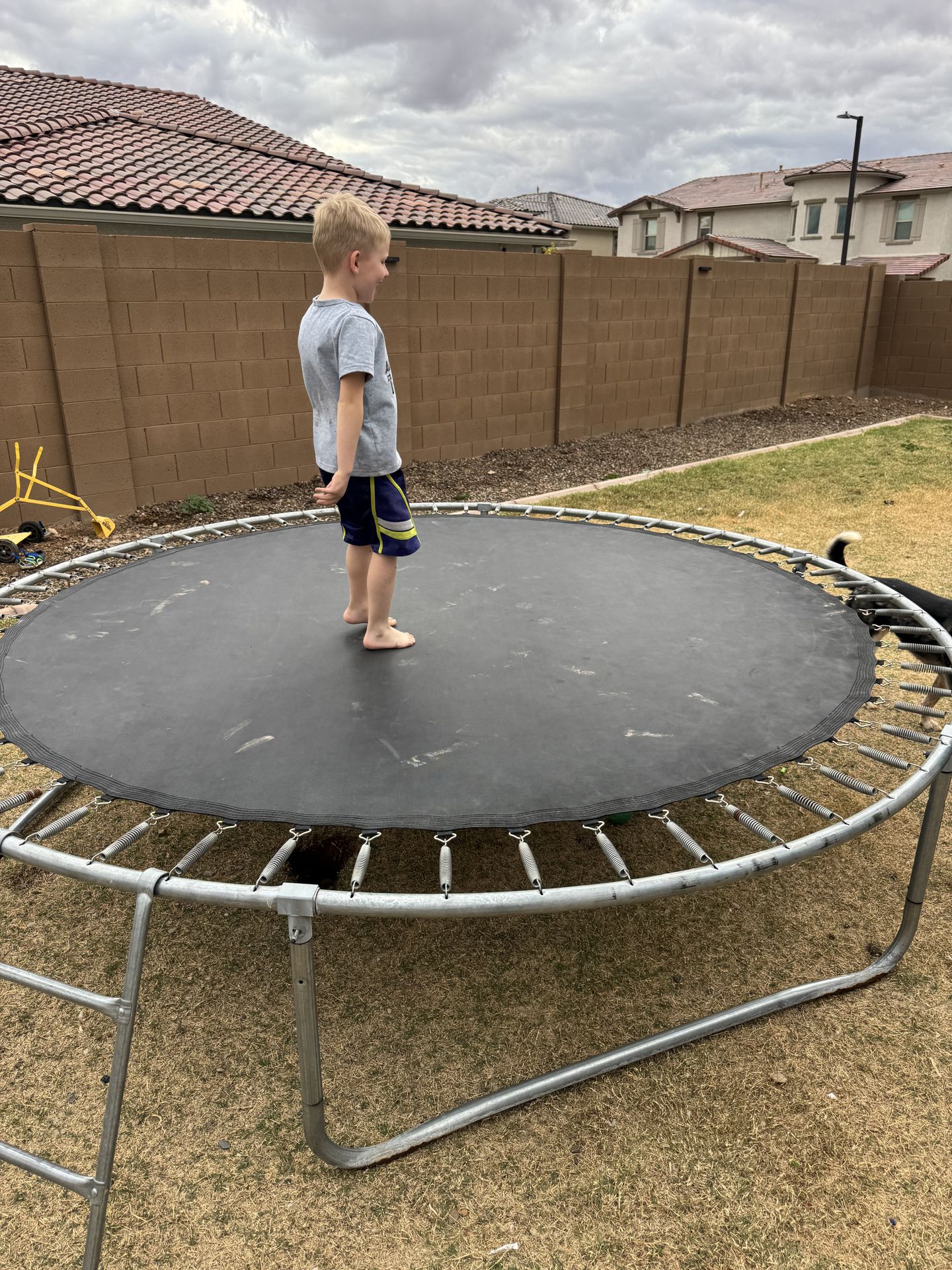 Trampoline
