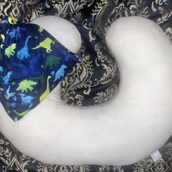 Boppy With Dinosaur Cover