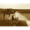 TS