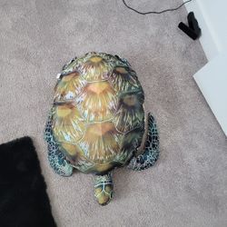 Turtle pillow Shoot Me A Offer