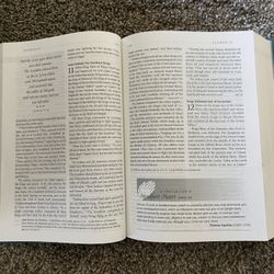 New Living Translation (NLT) Bible
