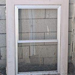 Window For door